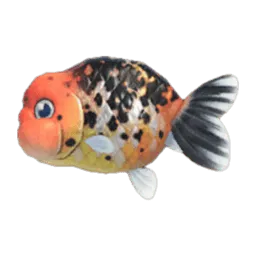 Ranchu Goldfish