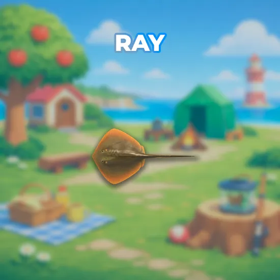 Ray
