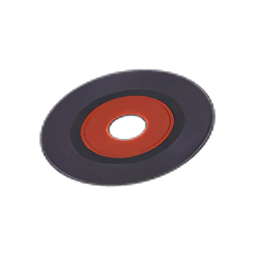 Record Rug