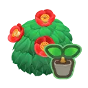 Red-Camellia Start