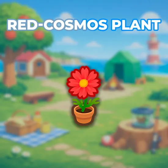 Red-Cosmos Plant