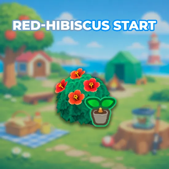 Red-Hibiscus Start