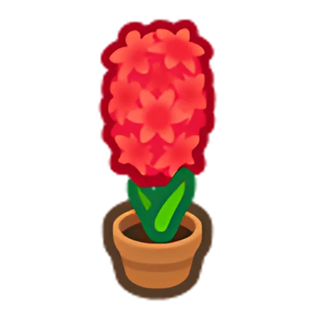 Red-Hyacinth Plant