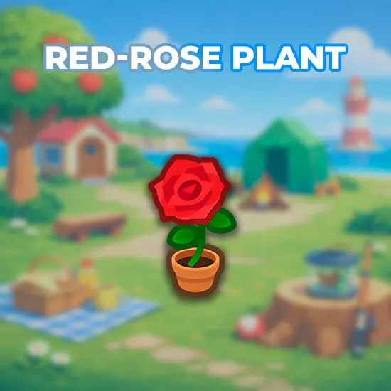 Red-Rose Plant