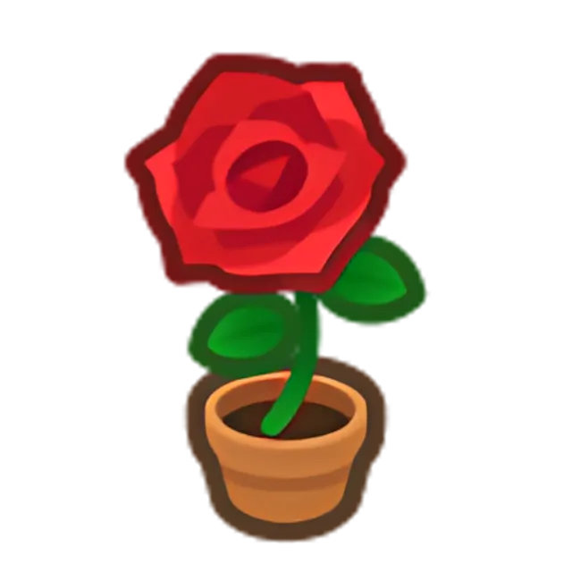 Red-Rose Plant