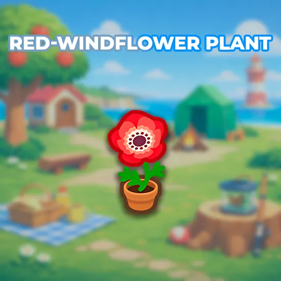 Red-Windflower Plant
