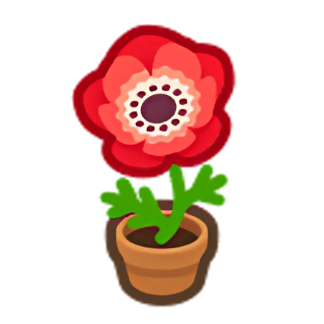 Red-Windflower Plant