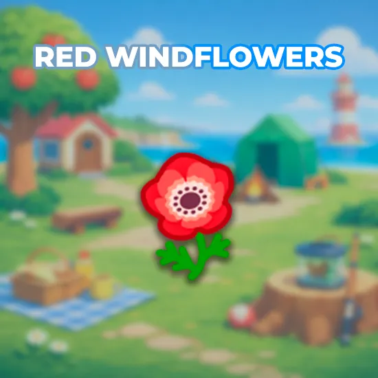 Red Windflowers
