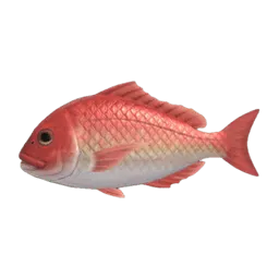 Red Snapper