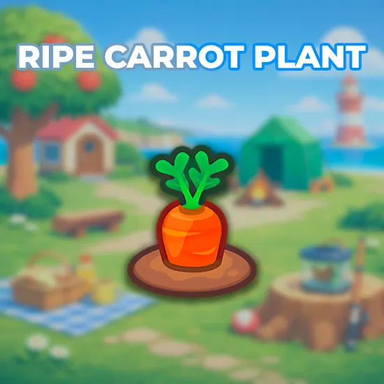 Ripe Carrot Plant
