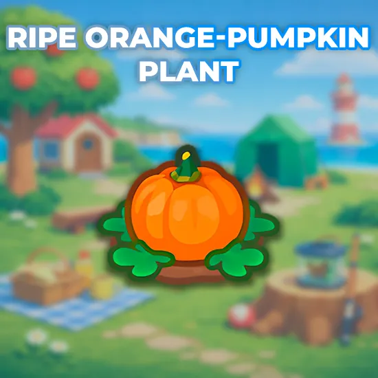 Ripe Orange-Pumpkin Plant
