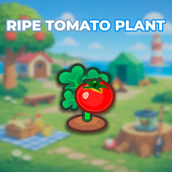 Ripe Tomato Plant
