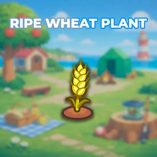 Ripe Wheat Plant