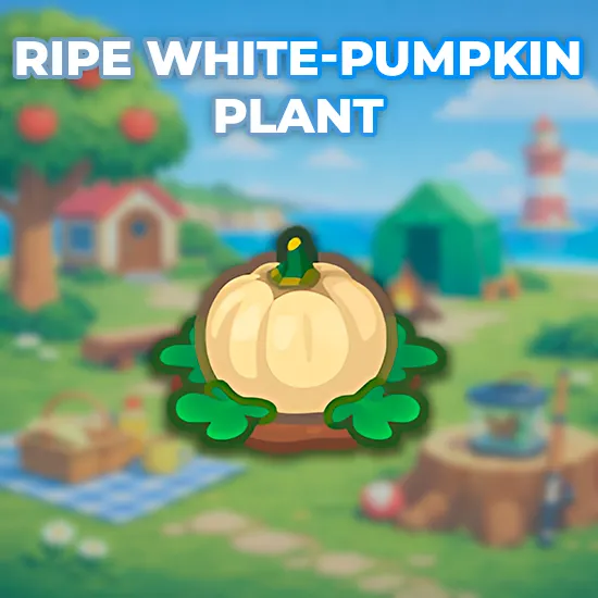 Ripe White-Pumpkin Plant