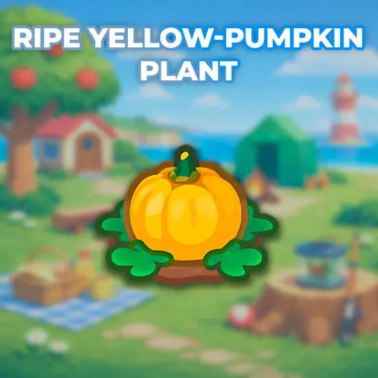 Ripe Yellow-Pumpkin Plant