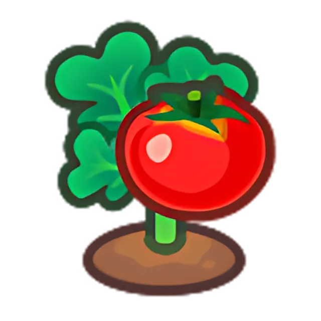 Ripe Tomato Plant