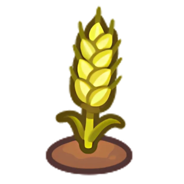 Ripe Wheat Plant