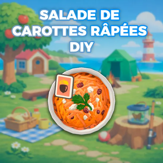 Salade De Carottes Râpées DIY