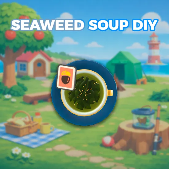 Seaweed Soup DIY