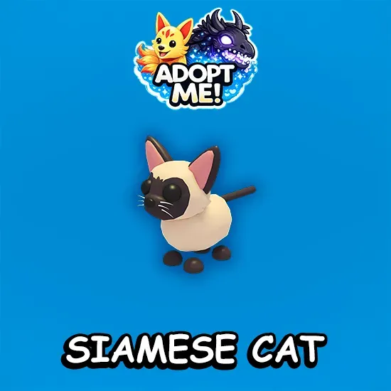 Siamese Cat