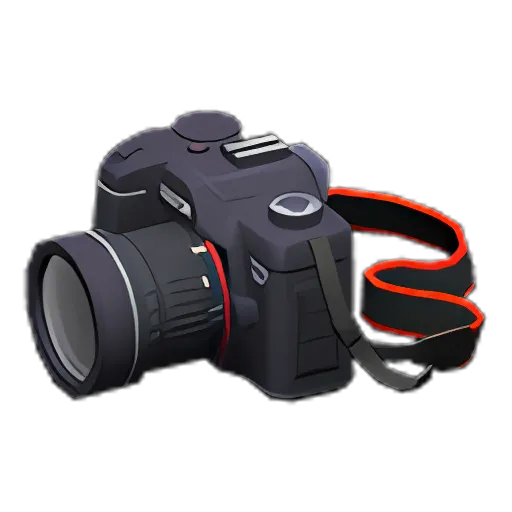 SLR Camera