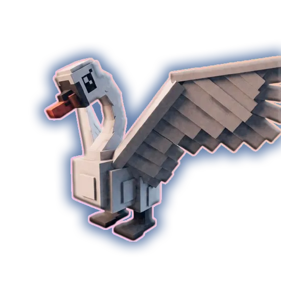 Swan