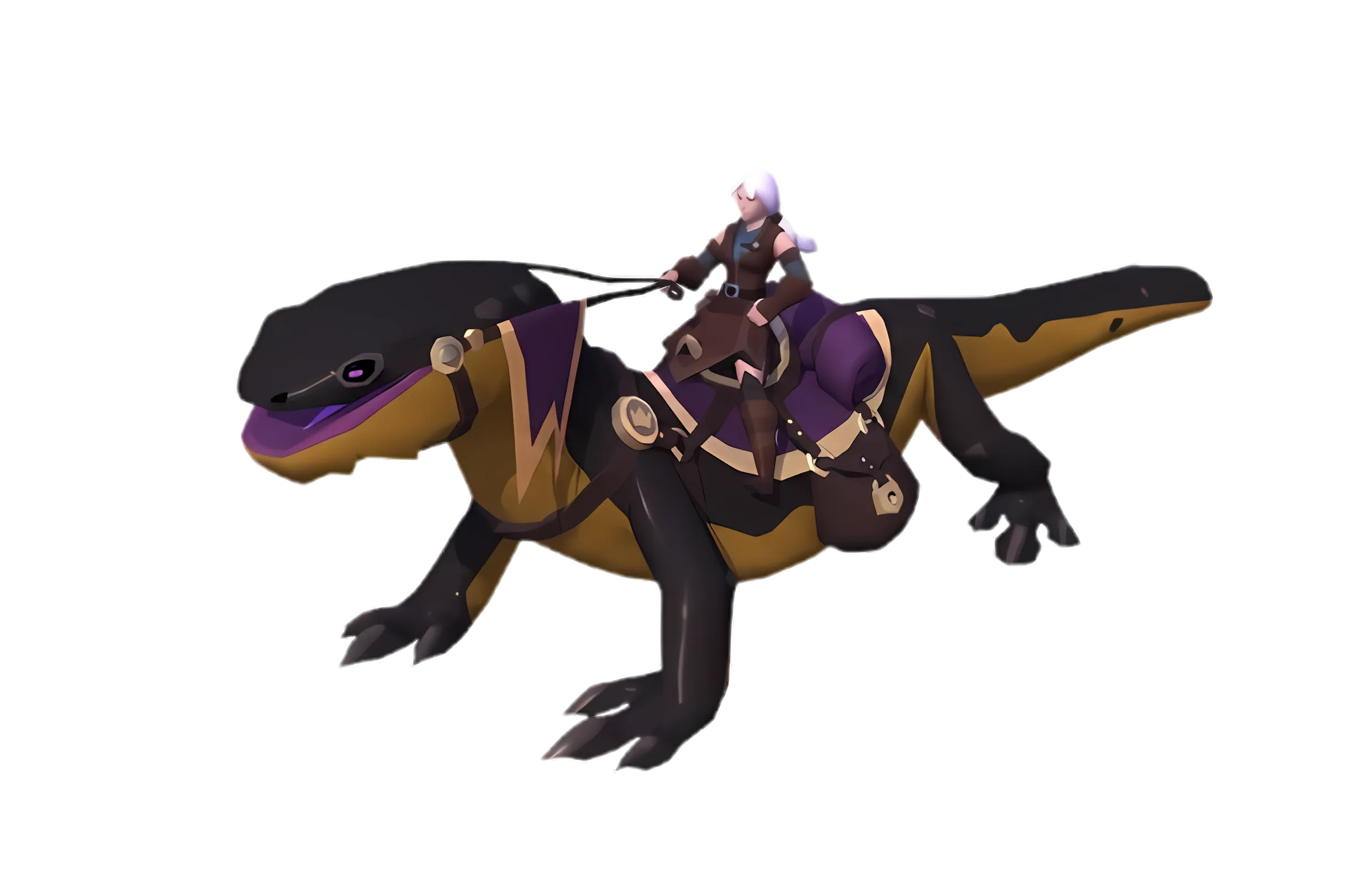 Salamander Collection