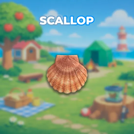 Scallop