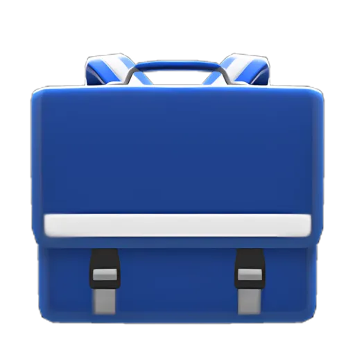 Schoolbag