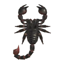Scorpion