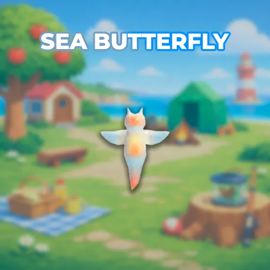 Sea Butterfly