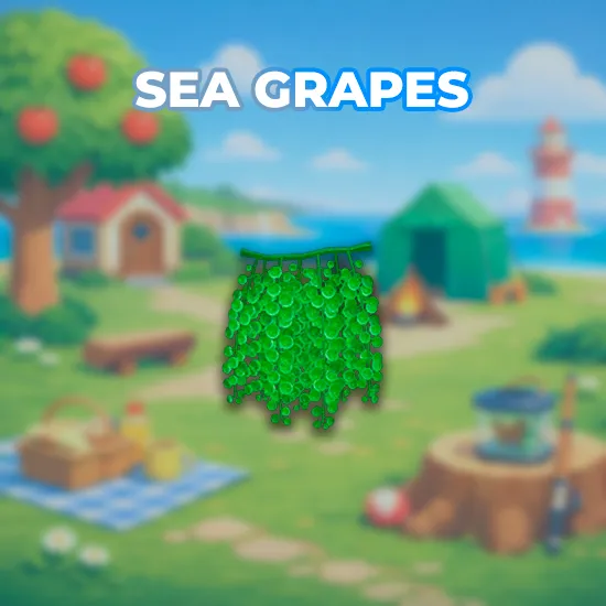 Sea Grapes