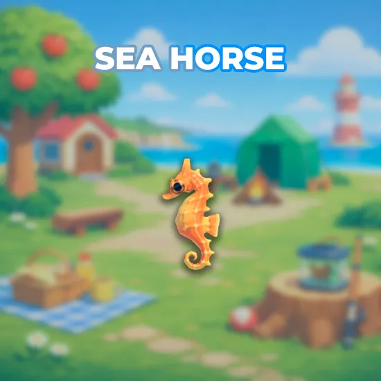 Sea Horse