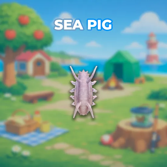 Sea Pig