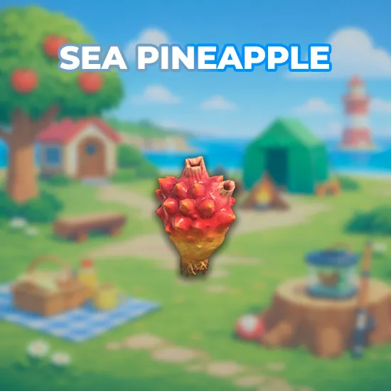 Sea Pineapple