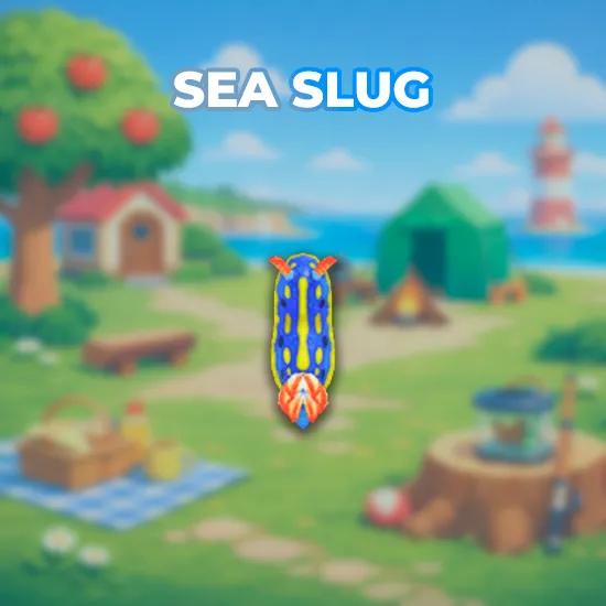 Sea Slug