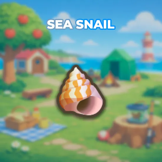 Sea Snail