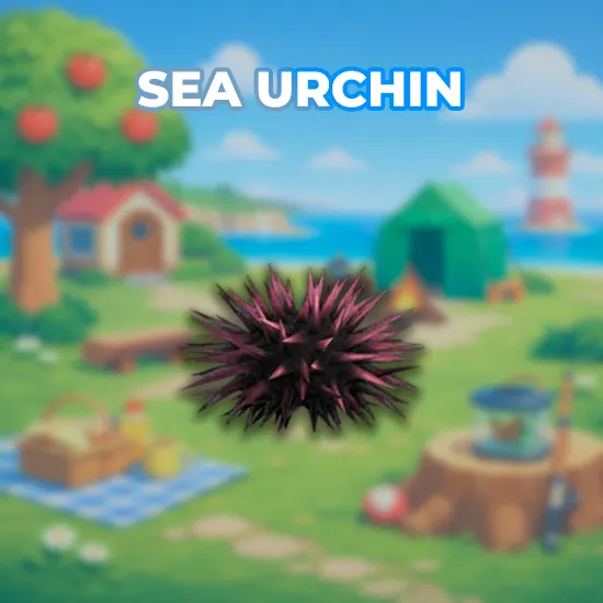 Sea Urchin