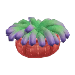 Sea Anemone