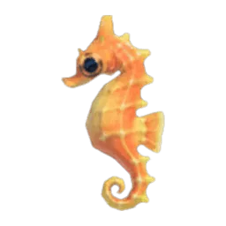 Sea Horse