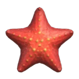 Sea Star