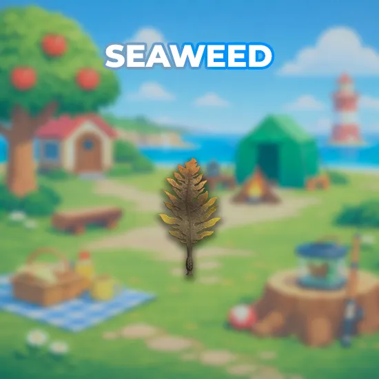 Seaweed