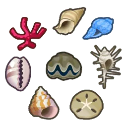 Shell Pack