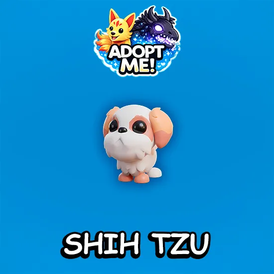 Shih Tzu