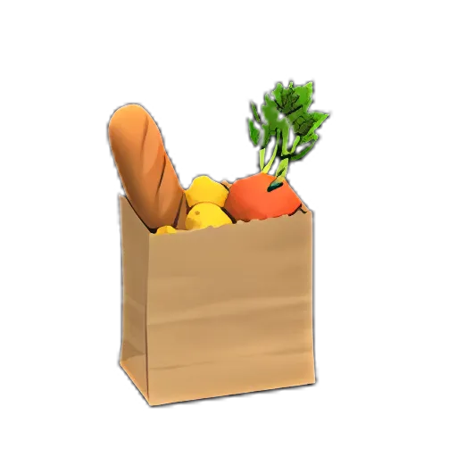 Shopping Bag
