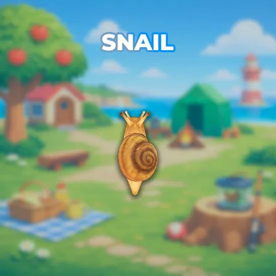 Snail
