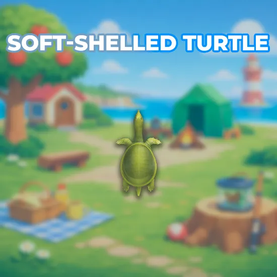 Soft-Shelled Turtle