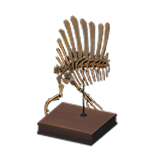 Spino Torso