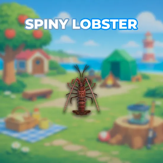 Spiny Lobster