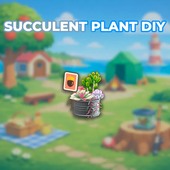 Succulent Plant DIY